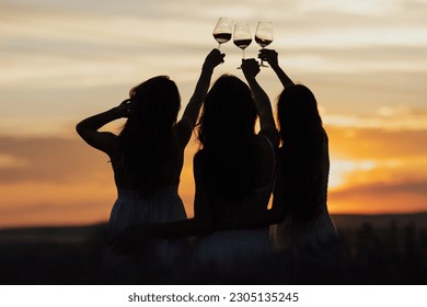 Silhouette of group of girlfriends on picnic party with wine in hands at amazing sunset. - Shutterstock ID 2305135245