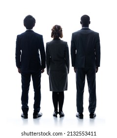 Silhouette of group of multinational businessperson rear view.