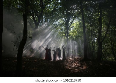 
silhouette of a group of women who reach for the light in a dark forest with smoke - Powered by Shutterstock