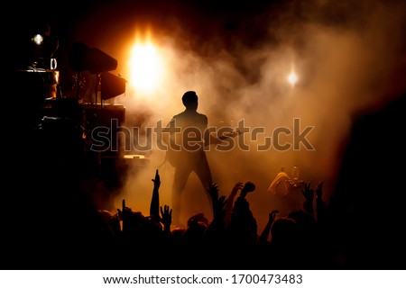 Silhouette of the guitarist on stage over the fans