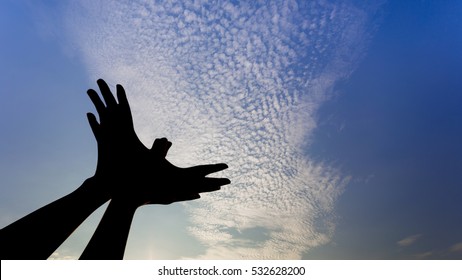 Silhouette Of A Hand Gesture Like Bird Flying On Blue Sky