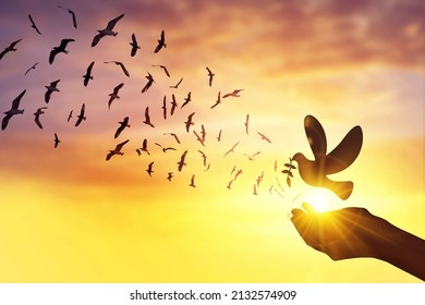 silhouette hand holding dove of peace and birds flying sunset background - Powered by Shutterstock