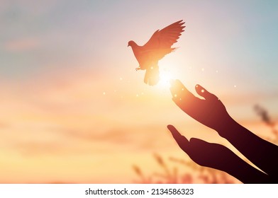 Silhouette hand of woman praying and free bird enjoying nature on sunrise and orange background with sunlight.
 - Shutterstock ID 2134586323