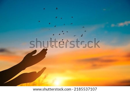 Silhouette hand of woman praying and free bird enjoying nature wildlife on sunset and orange background with sunlight and twilight sky.
