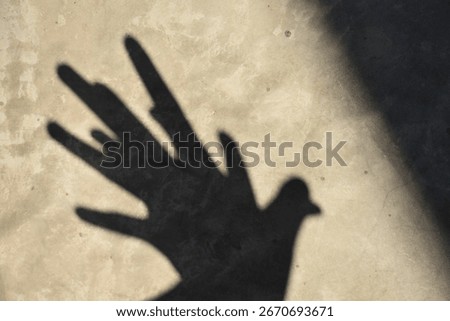 The silhouette of hands making a bird shape against a concrete background gives a creative and free feel.