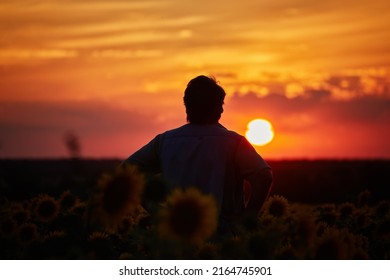 Silhouette Of Happy Successful Corn Farmer In Cornfield In Sunset With Arms Raised In The Air, Confident Farm Worker Expecting Good Harvest