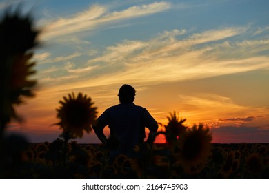 Silhouette Of Happy Successful Corn Farmer In Cornfield In Sunset With Arms Raised In The Air, Confident Farm Worker Expecting Good Harvest