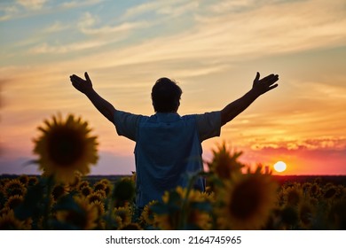 Silhouette Of Happy Successful Corn Farmer In Cornfield In Sunset With Arms Raised In The Air, Confident Farm Worker Expecting Good Harvest