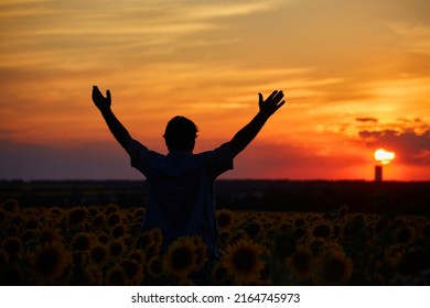 Silhouette Of Happy Successful Corn Farmer In Cornfield In Sunset With Arms Raised In The Air, Confident Farm Worker Expecting Good Harvest