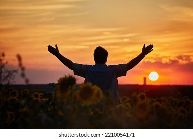 Silhouette Of Happy Successful Corn Farmer In Cornfield In Sunset With Arms Raised In The Air, Confident Farm Worker Expecting Good Harvest