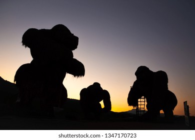 Silhouette hay kingkong family with twilight sunset background  - Shutterstock ID 1347170723