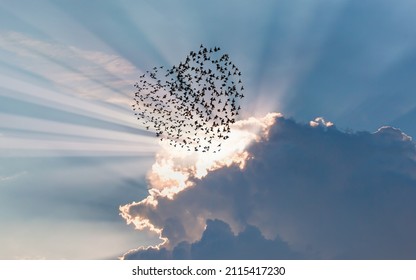 Silhouette of heart shape birds flying above the blue clouds, sun rays in the background