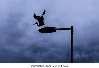 Silhouette of a Heron Taking Off from a Street Lamp Against Cloudy Sky - Powered by Shutterstock