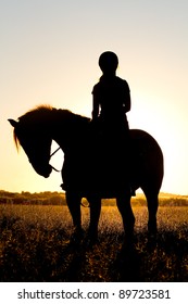A silhouette of a horse rider and horse in a grassy meadow