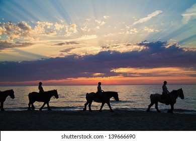 Silhouette of horse riders against the ocean and a sunset - Powered by Shutterstock