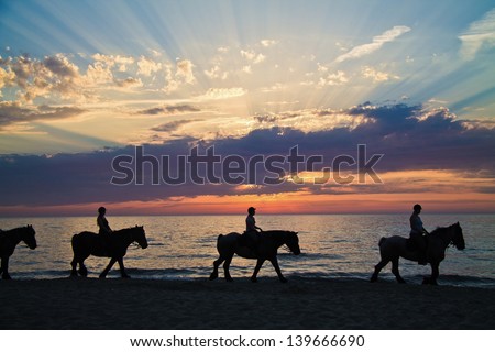 Silhouette of horse riders against the ocean and a sunset