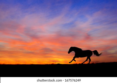 Silhouette Of  Horse Running Gallop On Sunset Background 