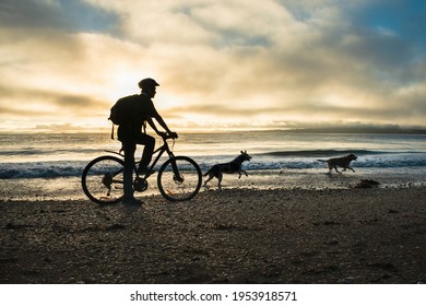 Silhouette image of a cyclist riding along the Milford beach with Rangitoto Island in the clouds and two dogs playing on the beach