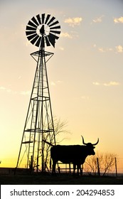Longhorn with Windmill