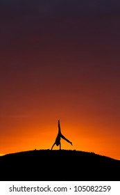 Silhouette Of Kid Doing A Cartwheel In Sunset