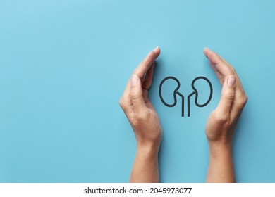 The silhouette of the kidneys in the hands of a man. A symbol of protection and prevention of kidney diseases - Shutterstock ID 2045973077