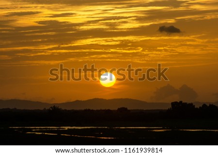 Similar – Foto Bild Abendsonne im Wald von Schweden