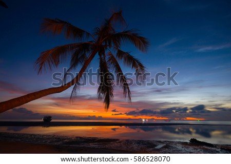 SILHOUETTE LEANING-COCONUT PALM TREE AT SEASIDE BEACH  , LIGHT-SHADOW REFLECTING ON WATER ,  LATE EVENING TIME TWILIGHT BLUE-ORANGE DARK CLOUD SKY BACKGROUND