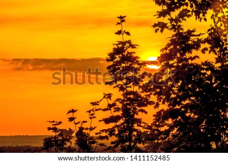 Silhouette of leaves of a bush against the background of a cloud on a brightly colorful orange sky hiding the yellow sun over the black steppe plain. Ufa, Bashkortostan, Russia.