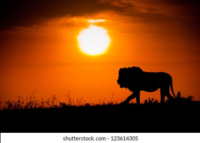 4,862 Lion silhouette Stock Photos, Images & Photography | Shutterstock