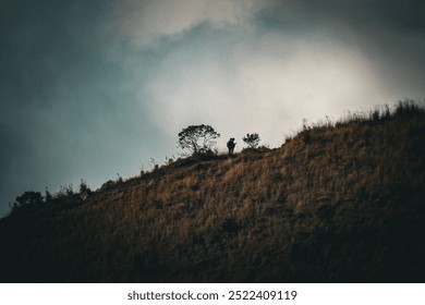 Silhouette of a lone hiker on a grassy hilltop against a dramatic sky. Perfect for adventure and solitude themes. Mt guntur indonesia - Powered by Shutterstock