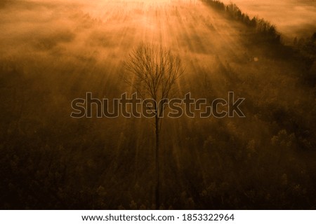 Similar – Wahner Heide ruhig Natur