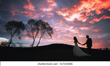 Silhouette Of A Loving Couple Against The Evening Pink Sunset Sky