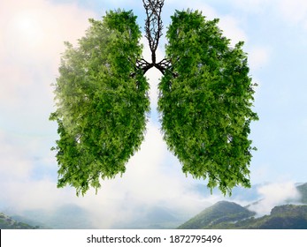 The silhouette of the lungs against the background of a mountain landscape. Trees are the lungs of the planet. Air purification. Mountains. Ecological concept.