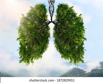 The silhouette of the lungs against the background of a mountain landscape. Trees are the lungs of the planet. Air purification. Mountains. Ecological concept.