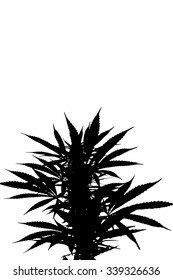 Download Cannabis Silhouette Images, Stock Photos & Vectors ...