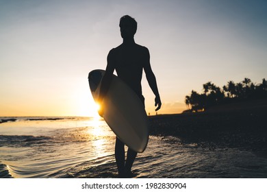 Silhouette Of Male Spending Evening For Surfing During Summer Twilight At Carribean Sea, Amateur Man With Professional Surfboard Recreating With Sportive Activity In Thailand Visiting Phuket Beach