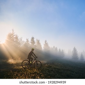 Silhouette of man in cycling suit riding bicycle near forest illuminated by morning sunlight. Male bicyclist cycling down grassy hill in the morning. Concept of sport, bicycling and active leisure.