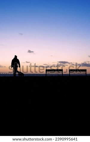 A silhouette of a man with a dog during sunset