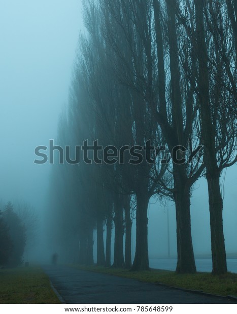 Silhouette of\
a man in the fog among trees in the\
city