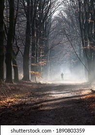 silhouette of man in foggy winter forest near utrecht in the netherlands on misty dirt road