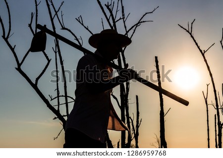 silhouette of man with hoe, background with dry trees and sky without clouds and strong sun Foto stock © 