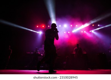 Silhouette of a man singing during a concert with lights flashing in background. - Powered by Shutterstock