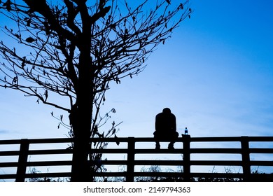 Silhouette of a man sitting alone at the fence near the withered tree with dark blue sky background.