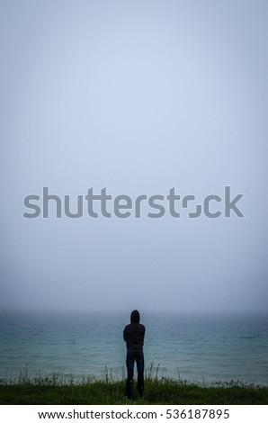 a woman looks at the sea. rear view, blurred