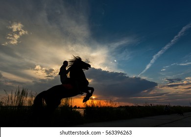 Silhouette of a man at sunset on his horse on two feet with colourful background
