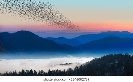 Silhouette of many birds flying over the forest - Beautiful landscape with cascade blue mountains at the morning - View of wilderness mountains during foggy weather - Powered by Shutterstock