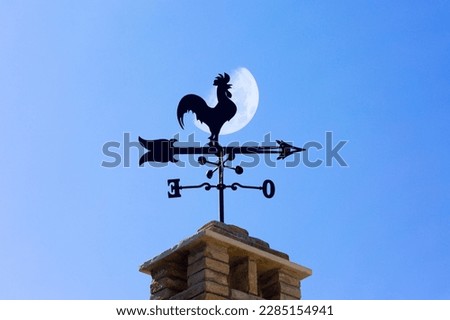 Silhouette of a metal frame weathercock on the roof with the moon in background.