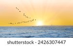 Silhouette of migratory birds flying over the sea at sunset