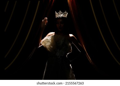 Silhouette of Miss Beauty Pageant Contest Woman with sparkle Diamond Crown with tanned skin beautiful makeup evening gown on stage with lighting curtain and dark background