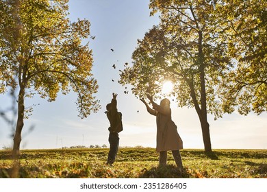 silhouette of mother and child throwing autumn leaves, park, fall season, having fun, woman and boy - Powered by Shutterstock